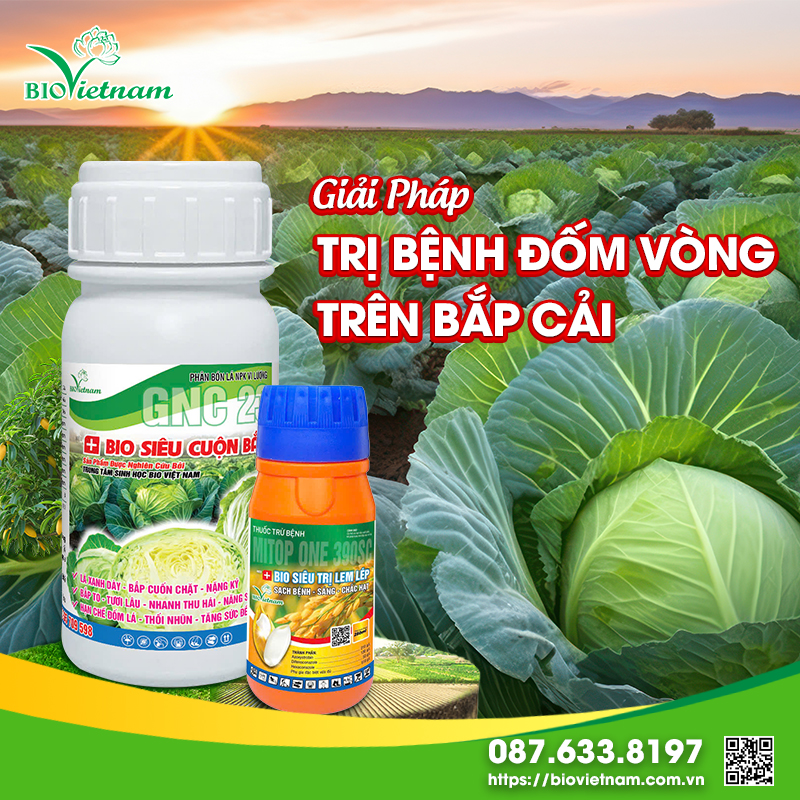 Giải Pháp Trị Bệnh Đốm Vòng Trên Bắp Cải Cùng Bio Việt Nam