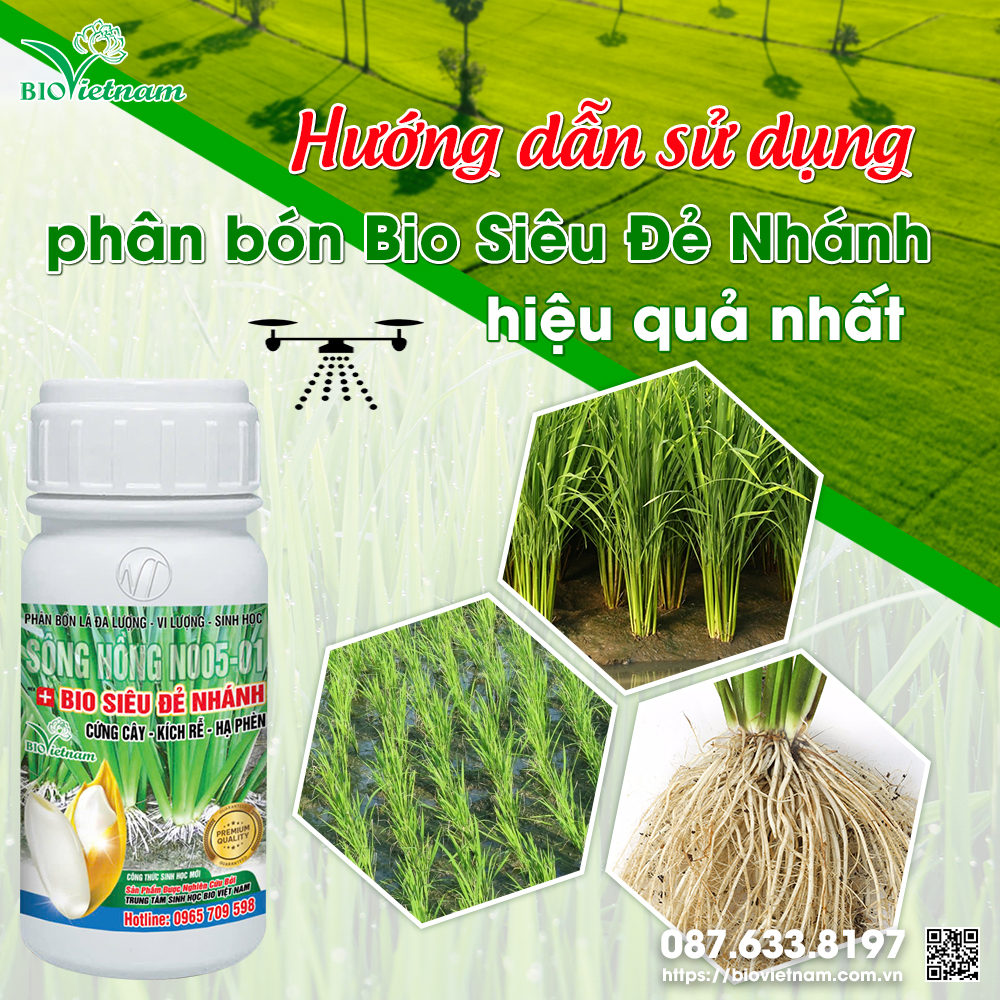 Phân bón lá Bio Siêu Đẻ Nhánh - Giải pháp dinh dưỡng tốt cho cây lúa đẻ nhánh đều