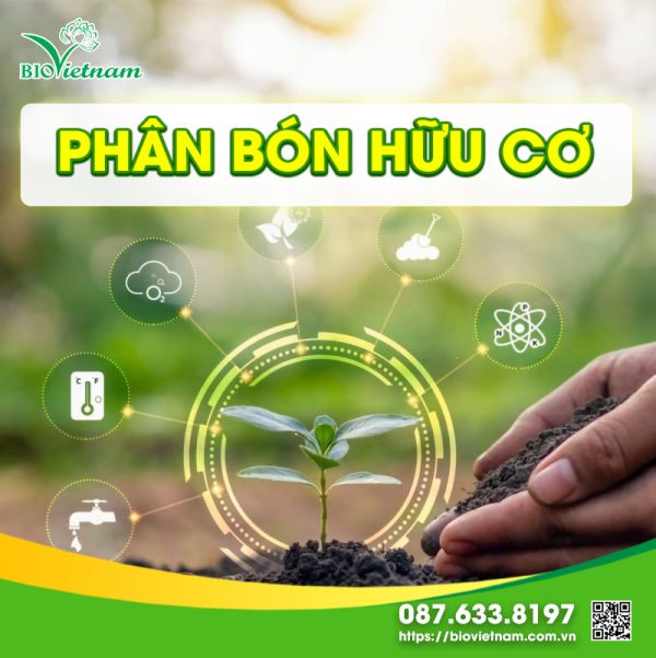 Phân bón hữu cơ là gì? Loại nào tốt nhất cho cây lúa