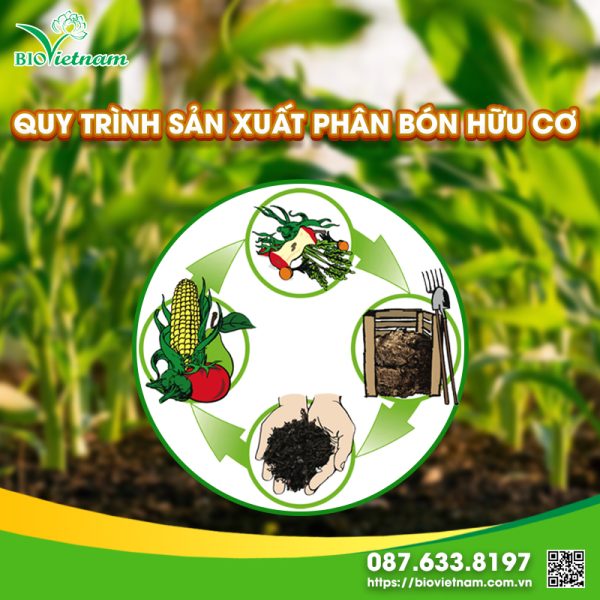 Quy trình sản xuất phân bón hữu cơ tiên tiến, công nghệ cao 