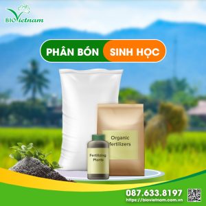 Phân bón sinh học là gì? Loại nào được ưa chuộng nhất 2025