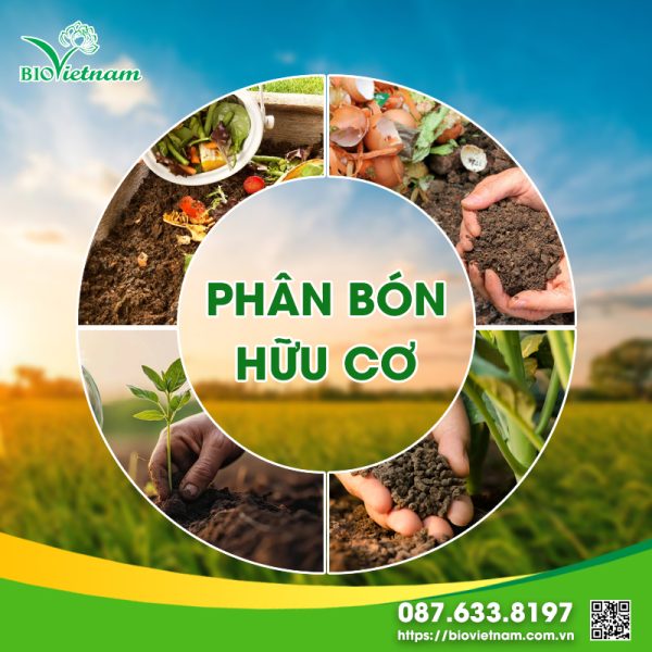 [TẤT TẦN TẬT] về phân bón hữu cơ cho cây trồng